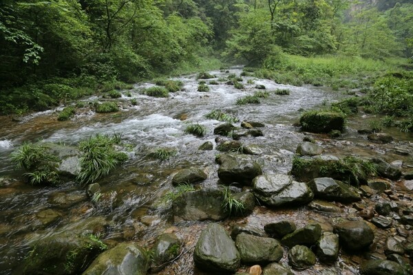 仙洋微博更新，探索自然美景之旅，寻找内心平和的旅程