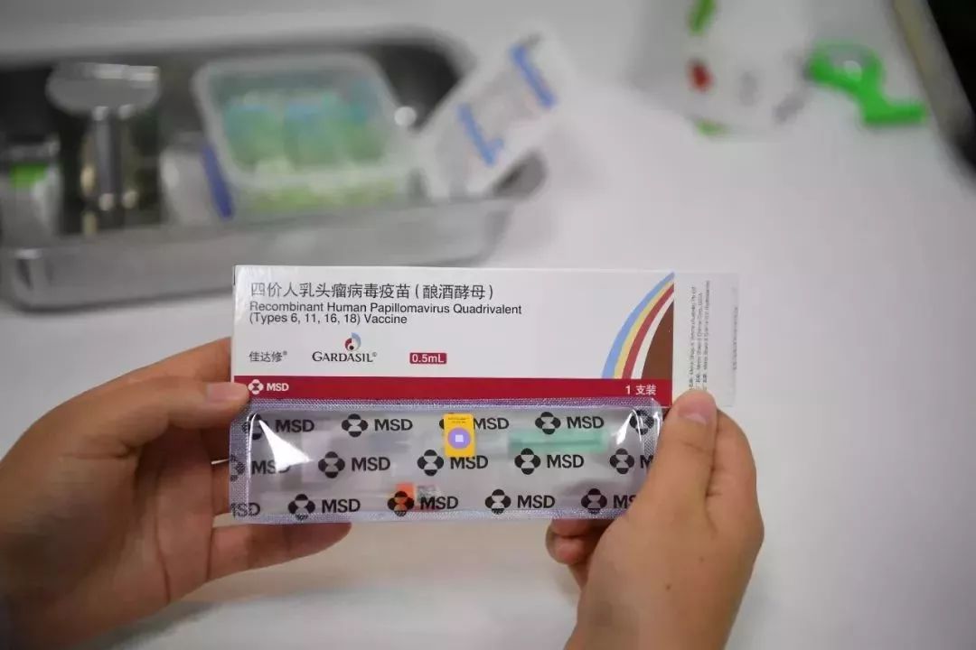 香港九价疫苗最新价格，变化中的选择，展现自信的力量