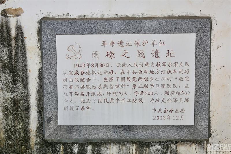 豆芽最新闻，绿色革命的崛起及其影响力