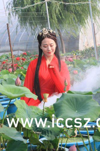 李丽莎最新图片，自然美景之旅，探寻内心平和与喜悦的旅程