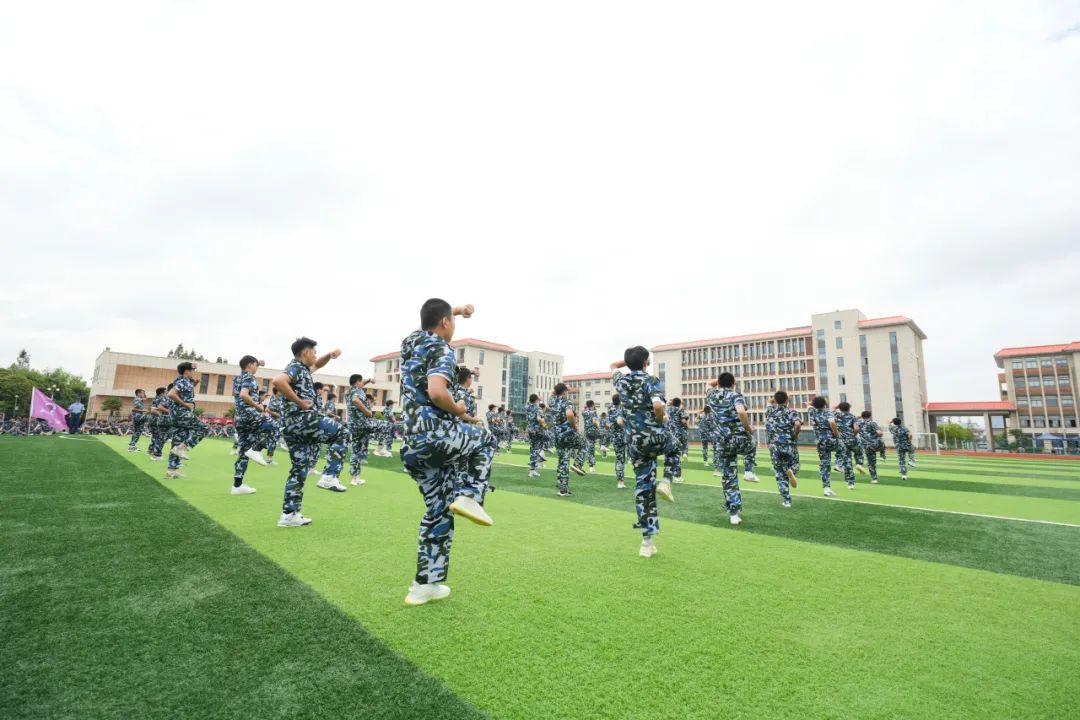 如松2023最新文章，学习新技能与完成任务详细步骤指南