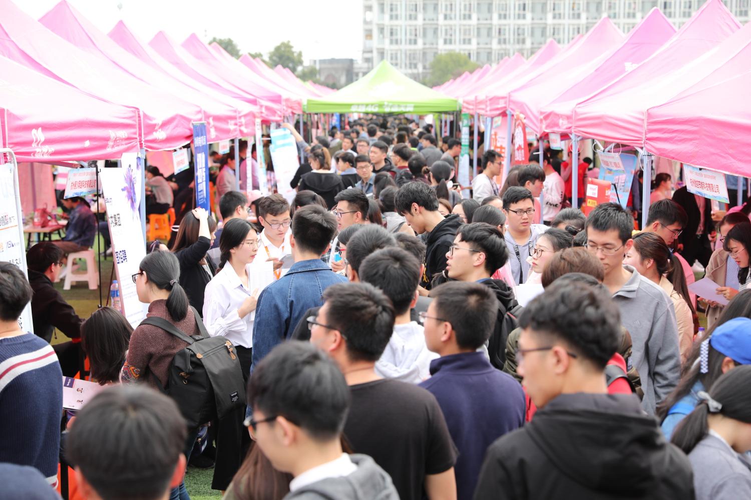 下沙最新招聘信息获取指南，快速了解招聘动态与申请步骤