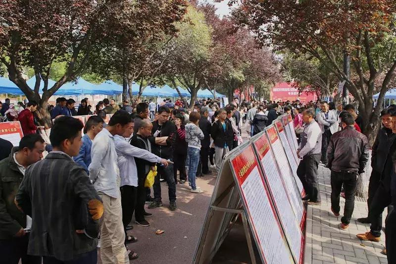 杨凌最新招聘信息汇总与全解析