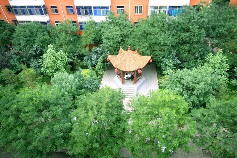 太原城中村改造，自然美景的探索之旅