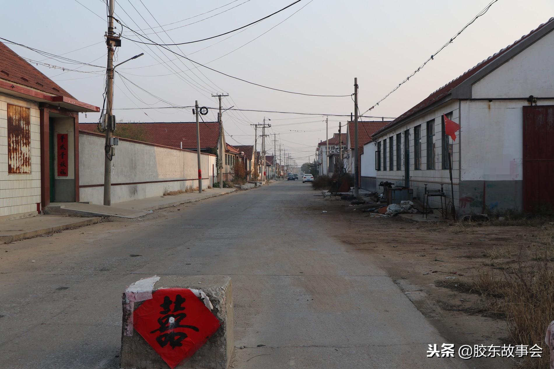 莱州划入青岛最新动态，最新消息与观点论述
