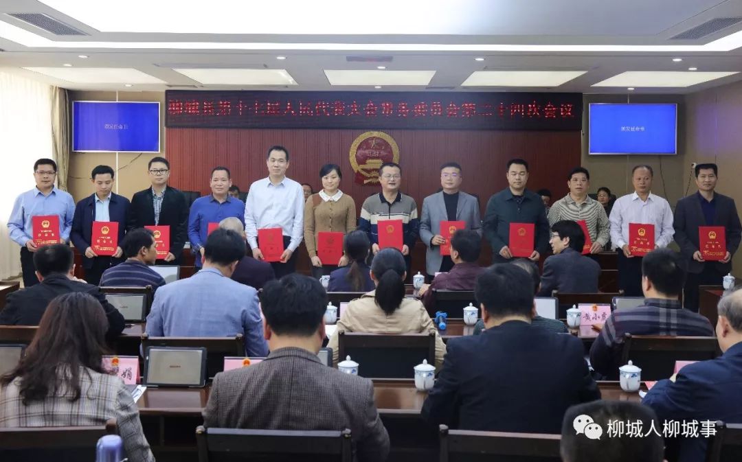 河池市最新人事任免动态及分析简报