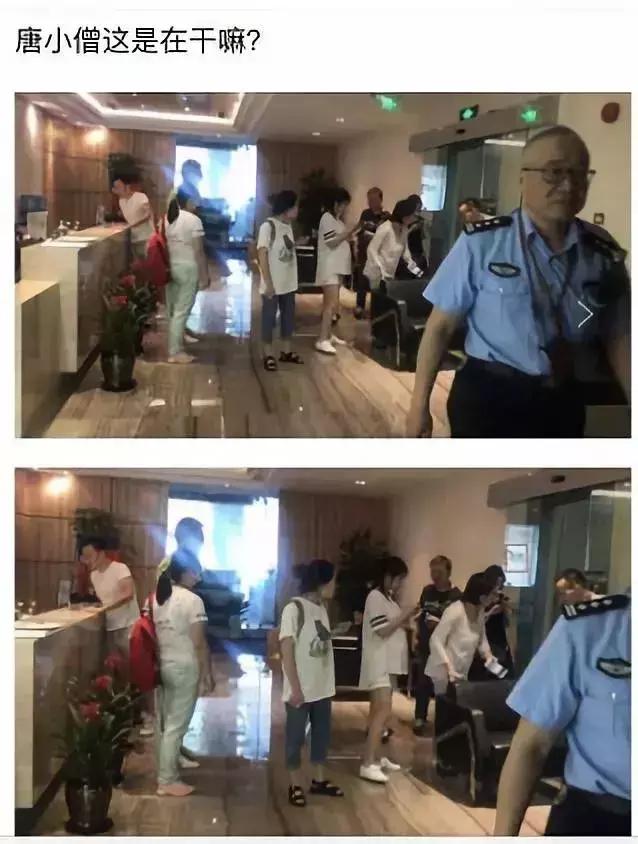 唐小僧理财最新动态，捕捉金融市场的变革与发展