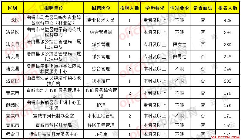 云南文山招聘网最新招聘，职业发展的热门选择