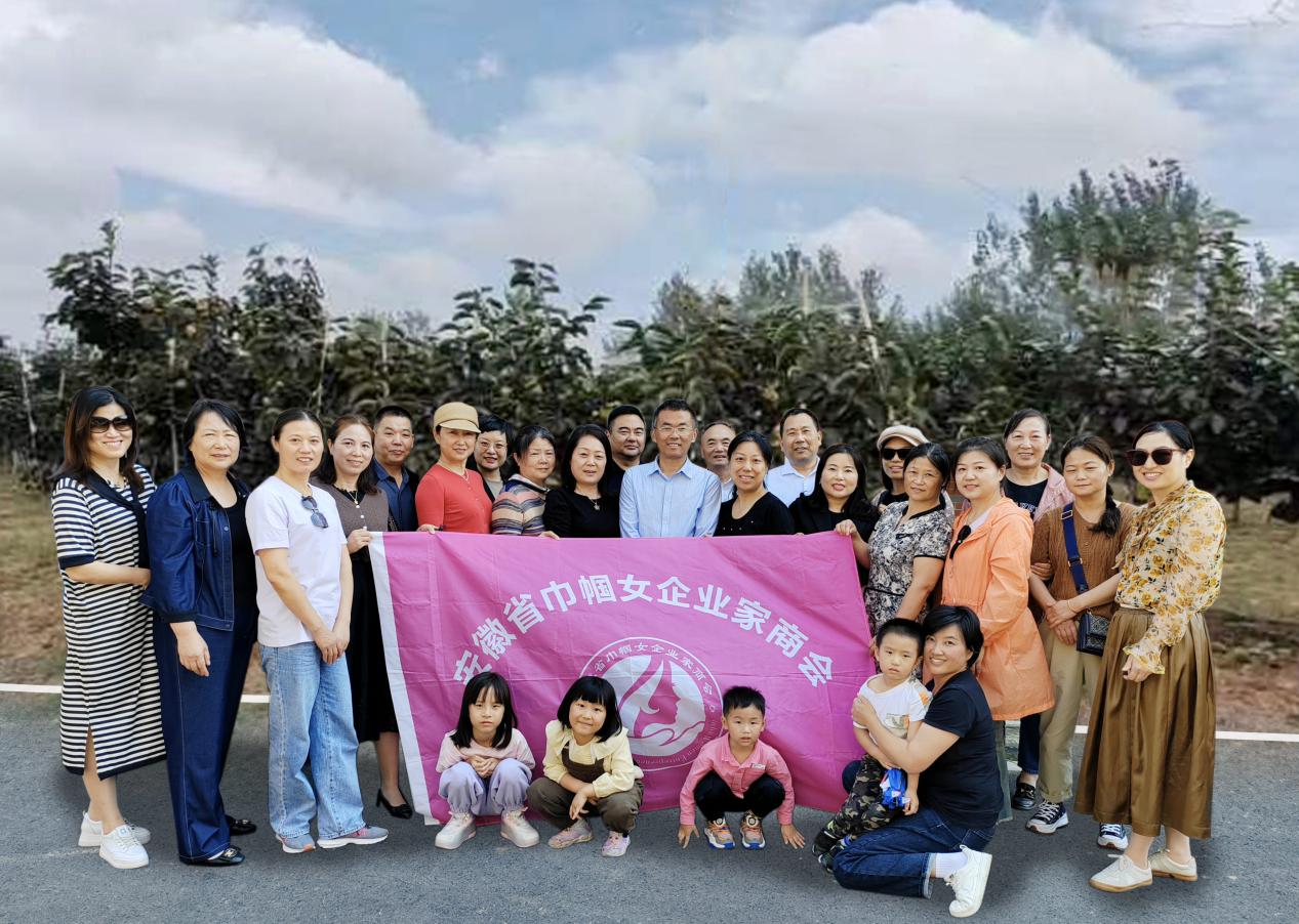 肥西官亭镇科技前沿引领未来生活风尚，最新消息荟萃