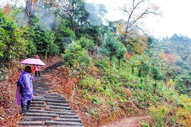 花垣新闻网，拥抱自然，启程洗涤心灵的旅行