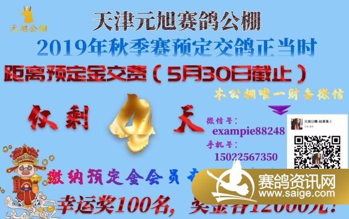 民商事诉讼仲裁 第5页