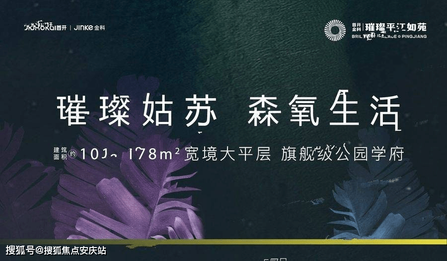权力之路的微妙探索，官术最新章节揭秘